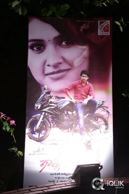 Gallo-Telinattunde-Movie-Audio-Function